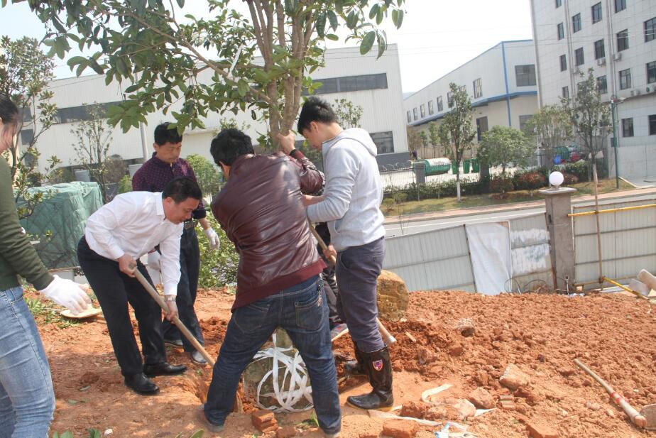 mg不朽情缘(中国)官方网站