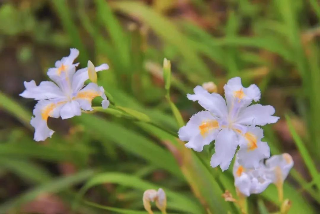 mg不朽情缘(中国)官方网站