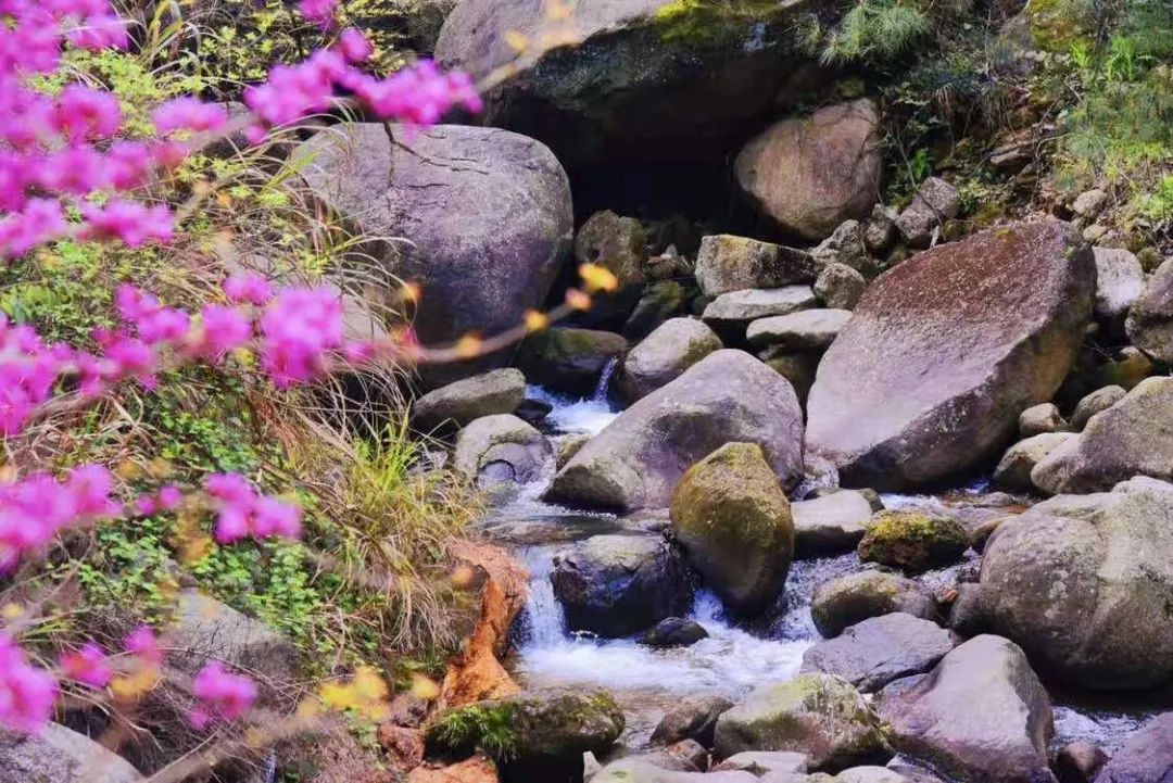 mg不朽情缘(中国)官方网站