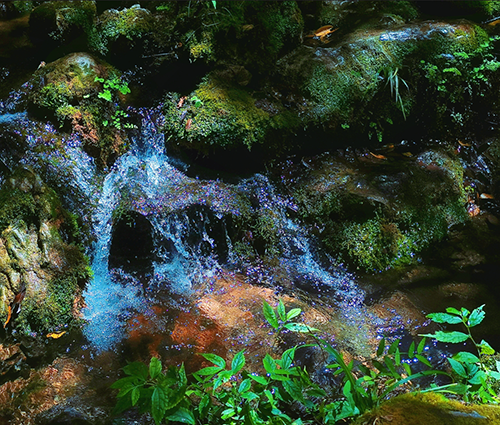 mg不朽情缘(中国)官方网站